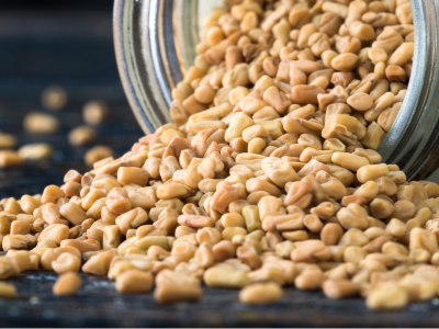 FENUGREEK SEEDS BOLD