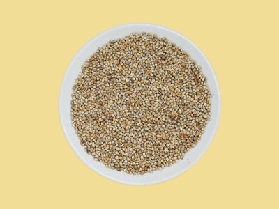 PEARL MILLET