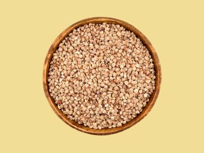 SORGHUM