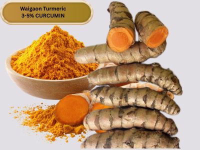 Waigaon Turmeric